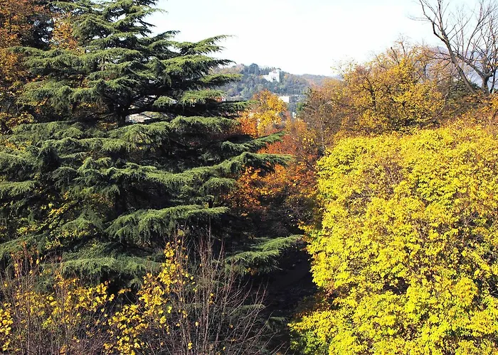 La Perla By Sedar Όπως